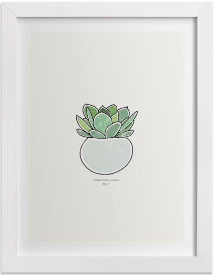 Succulent figure 1by&nbsp;Stacey Meacham